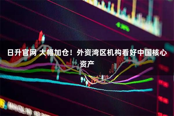 日升官网 大幅加仓！外资湾区机构看好中国核心资产