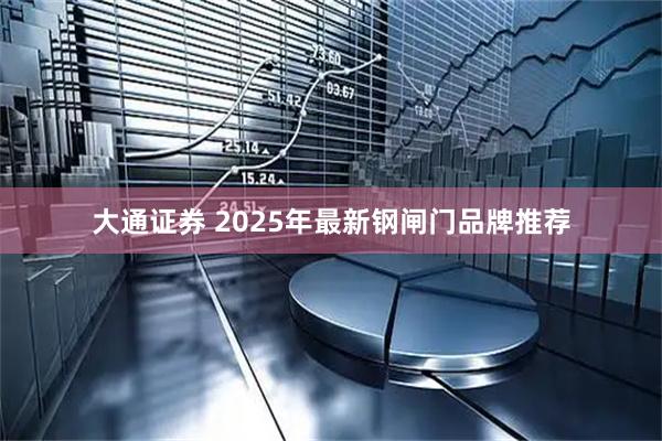 大通证券 2025年最新钢闸门品牌推荐