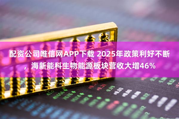 配资公司唯信网APP下载 2025年政策利好不断，海新能科生物能源板块营收大增46%