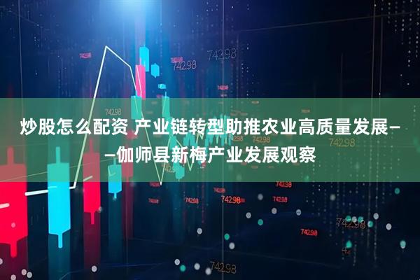 炒股怎么配资 产业链转型助推农业高质量发展——伽师县新梅产业发展观察