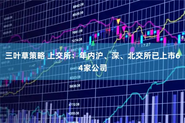三叶草策略 上交所：年内沪、深、北交所已上市64家公司
