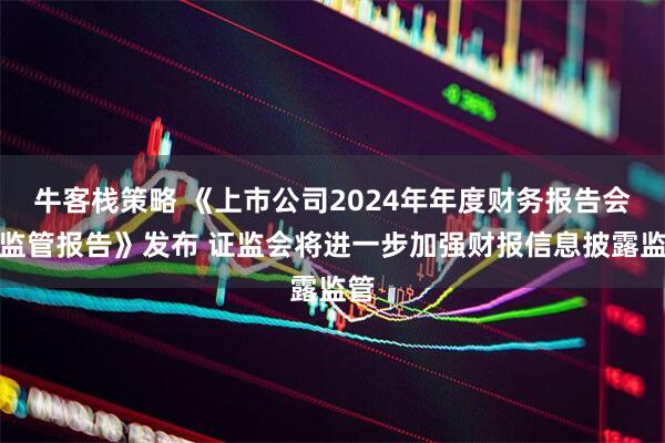 牛客栈策略 《上市公司2024年年度财务报告会计监管报告》发布 证监会将进一步加强财报信息披露监管