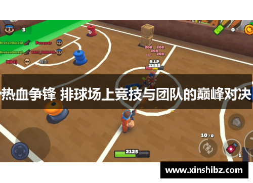 热血争锋 排球场上竞技与团队的巅峰对决